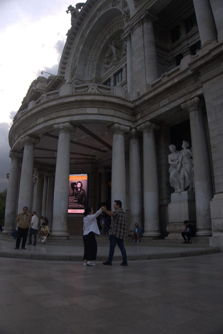 galeria (24)